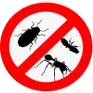 Pest Control Services