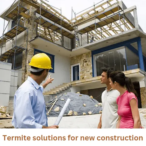 Termite Control Services