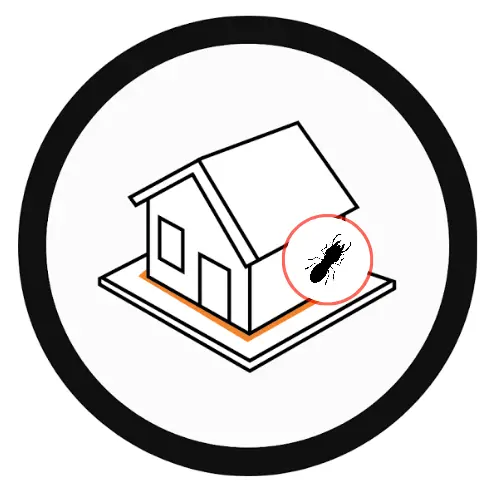 Termite Control Services