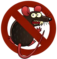 Rodents Control Services in Aligarh