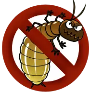 Termite Control Services in Aligarh