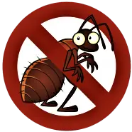 Ants Control Services in Aligarh