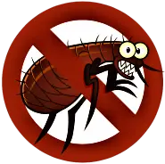 Bedbugs Control Services in Aligarh