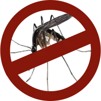 Mosquito Control Services in Aligarh