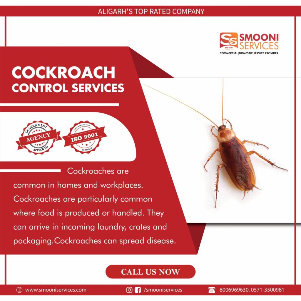 Cockroach control